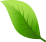 Shape 2
